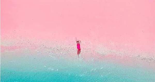 印尼網紅景點：帕達爾島粉紅沙灘